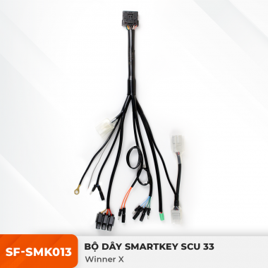 Dây Smartkey SCU 33 - Winner X - SF-SMK013