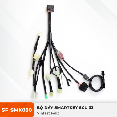 Dây Smartkey SCU 33 - Vinfast Feliz - SF-SMK030