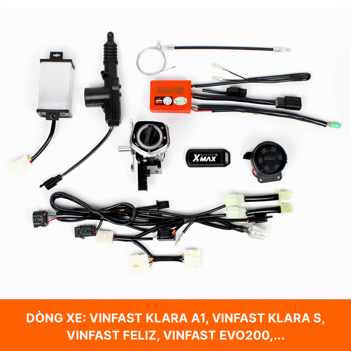 Dịch vụ chuyên nghiệp